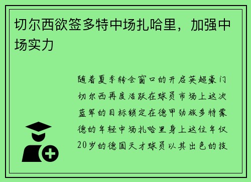 切尔西欲签多特中场扎哈里，加强中场实力